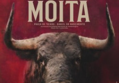 MOITA DO RIBATEJO - OS TOIROS DE PALHA PARA A CORRIDA DE DOMINGO 